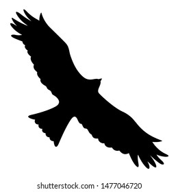 Silhouette of a flying eagle. Vector illustration