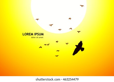 silhouette of a flying flock of birds at sunset. Vector