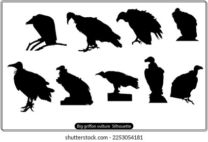 Silhouette of a flying Griffon vulture bird, scientifically known as Gyps fulvus. Vector illustration.
