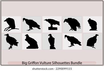 Silhouette of a flying Griffon vulture bird, scientifically known as Gyps fulvus. Vector illustration.