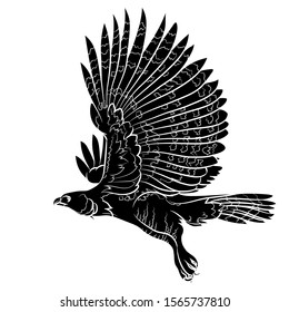 Silhouette of a flying Harpy eagle. Graphic drawing. Vector.