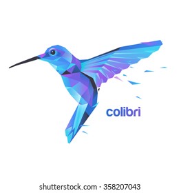 Silhouette flying hummingbirds. Stylized colibri illustration.