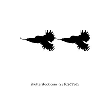Silhouette of the Flying Pair Bird of Prey, Falcon or Hawk, for Logo, Pictogram, Website, Art Illustration, or Graphic Design Element. Vector Illustration 
