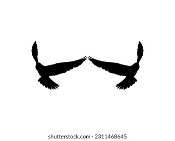 Silhouette of the Flying Pair Bird of Prey, Falcon or Hawk, for Logo, Pictogram, Website, Art Illustration, or Graphic Design Element. Vector Illustration 