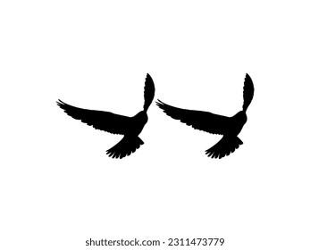 Silhouette of the Flying Pair Bird of Prey, Falcon or Hawk, for Logo, Pictogram, Website, Art Illustration, or Graphic Design Element. Vector Illustration 