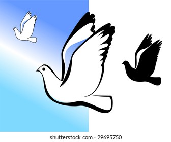 Silhouette of the flying pigeon. A vector