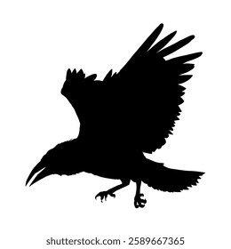  Silhouette of a flying raven - vector illustration