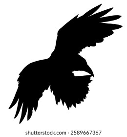  Silhouette of a flying raven - vector illustration