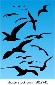 silhouette of flying seagull