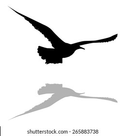 silhouette of a flying Seagull against a white background vector