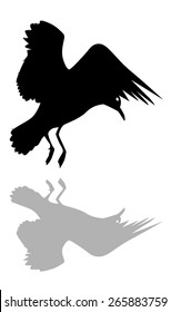 the silhouette of a flying Seagull against a white background vector