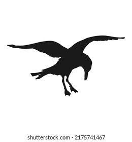 Silhouette of flying seagulls. Hand drawn illustration converted to vector.