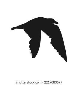 Silhouette of flying seagulls. Hand drawn illustration converted to vector.