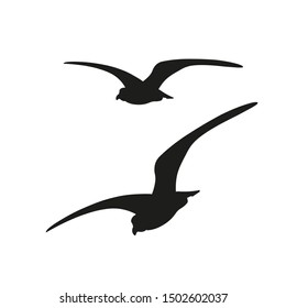 Silhouette of flying seagulls. Vector illustration isolated on white background