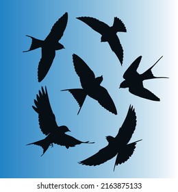 Silhouette of flying Swallow birds in blue sky