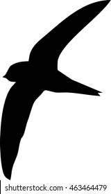 Silhouette of flying swift