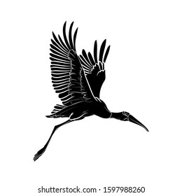 Silhouette of a flying Wood stork (Mycteria americana). Black and white illustration. Vector.