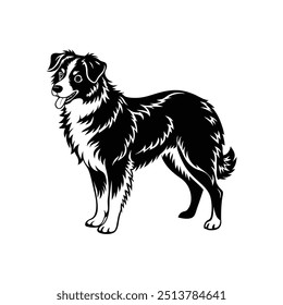 Silhueta de pastoreio focado Australian shepherd vetor clipart design