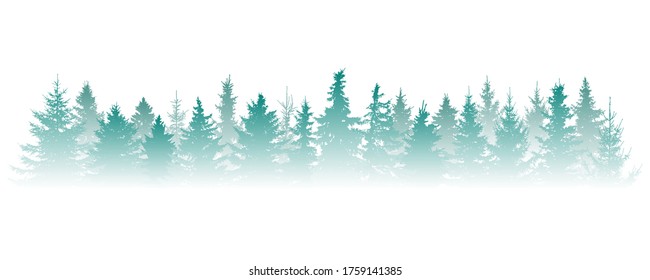 
Silhouette of fog forest, panorama. Isolated Christmas tree (fir) in misty forest on white background. Vector illustration