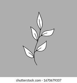 
Silhouette of foliage curly on a gray background, hand-drawn by a liner, graphic illustration of flora