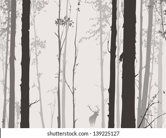 silhouette of the forest with deer