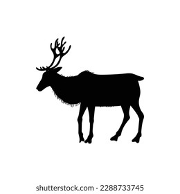 Silhouette of forest deer with branched antlers vector, black outline vector illustration isolated on white background. Wild european or polar deer contour shape.