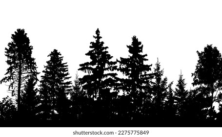Silhouette of forest, firs, pines and different deciduous trees. Vector illustration.