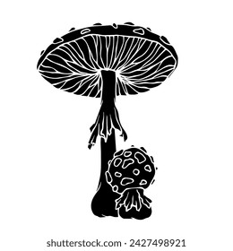 Silhouette of forest fly agaric mushrooms. Vector graphics.