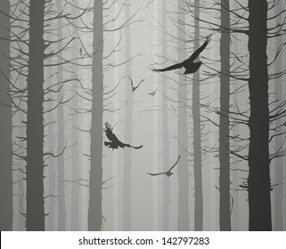 silhouette of the forest with flying birds. grays