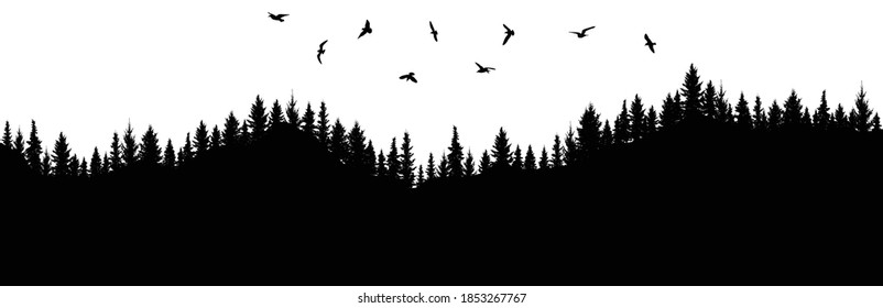 Silhouette of forest and flying birds. Mountainous surface. Beautiful trees (spruce) are separated from each other. Vector illustration