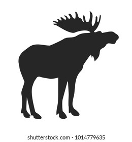 silhouette of the forest moose