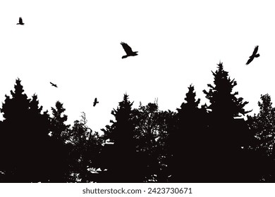 Silhouette of forest on white background. Symbol of nature and landscape.