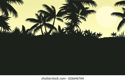 Silhouette of forest with palm tree scenery