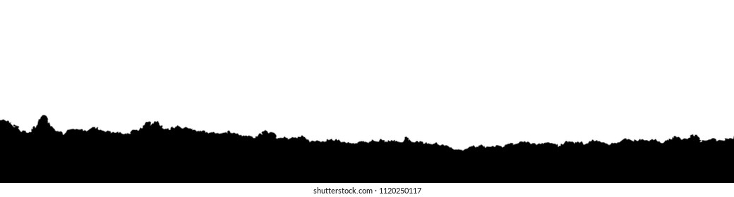 silhouette forest panorama