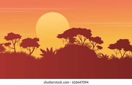 Silhouette forest scenery at sunset