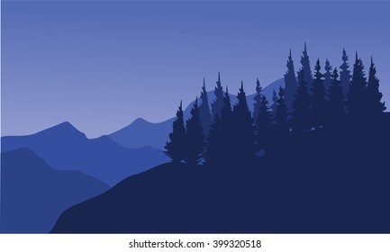 Silhouette of forest spruce in the hills