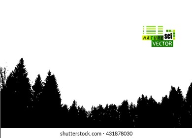 Silhouette of a forest of trees. Vector