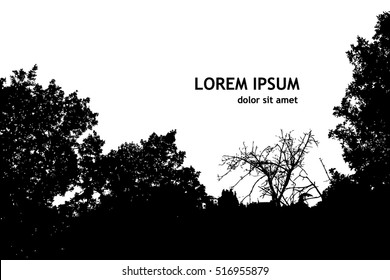 Silhouette of a forest of trees. Vector