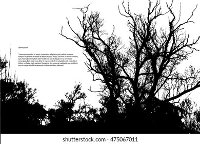 Silhouette of a forest of trees. Vector illustration EPS10. Mysterious and beautiful jungle forest. Poster background for a Halloween party. Tussock grass. Beautiful winding tree branches.