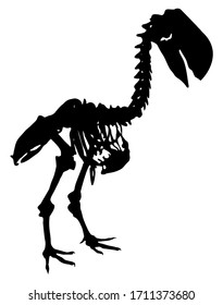 silhouette of fossil skeleton of Diatryma vector illustration