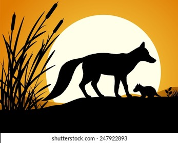 Silhouette of the fox. Silhouette of foxes against the sunset. Vector illustration. 