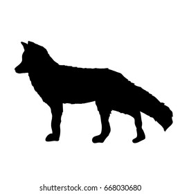 Silhouette of fox on the white background