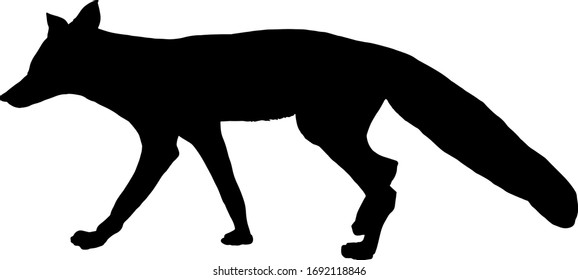 Silhouette of a fox. Vector illustration.