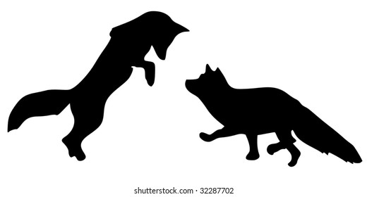 silhouette of foxes