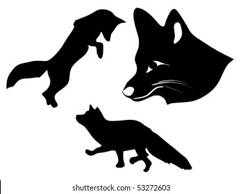 silhouette of foxes