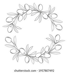 Silhouette frame with olive branches.