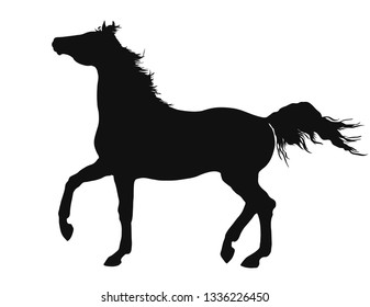Silhouette of a freely trotting horse.
