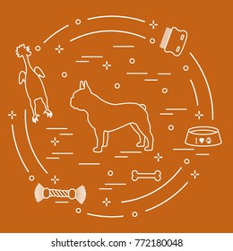 Silhouette of french bulldog, bowl, bone, brush, comb, toys. Design element for postcard, banner, poster or print.