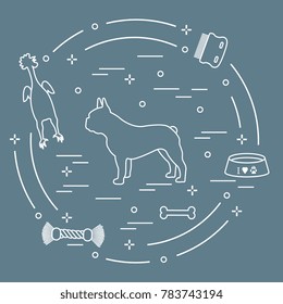 Silhouette of french bulldog, bowl, bone, brush, comb, toys. Design element for postcard, banner, poster or print.