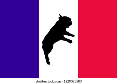 Silhouette of a French bulldog jump and Flag of France